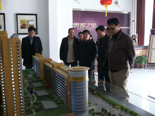 南京市政府副市长陈刚一行来赛城集团参观考察