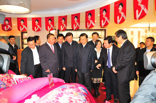 张德江副总理视察叠石桥国际家纺城