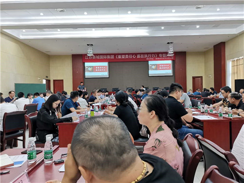 集团公司举办中高层暨业务骨干“重塑责任心，赢在执行力”专题培训活动