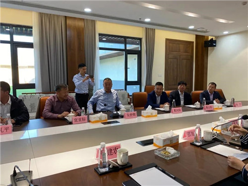 中国侨联副主席邵旭军到叠石桥调研